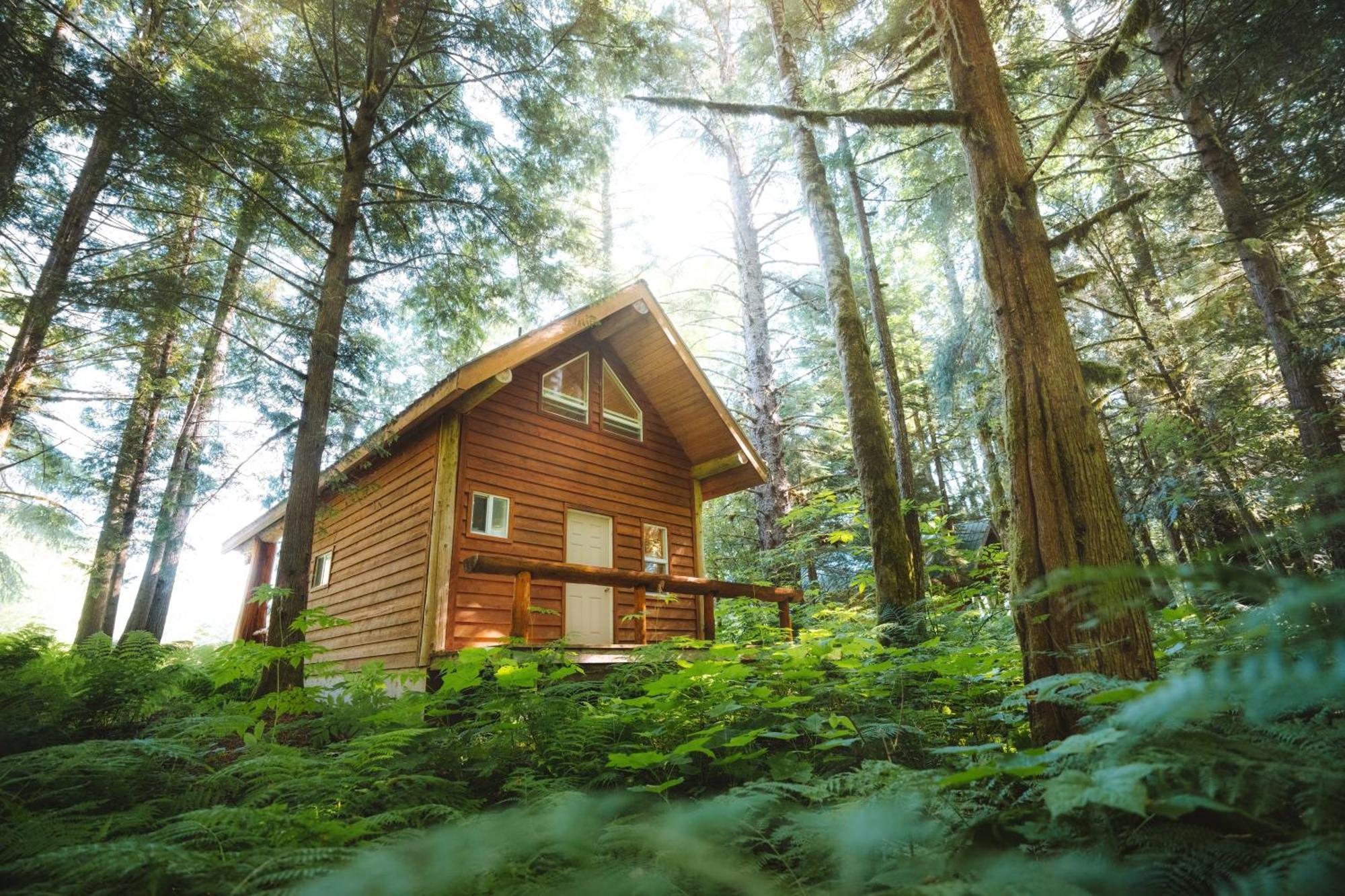 Bella Coola Grizzly Tours And Resort Hagensborg エクステリア 写真