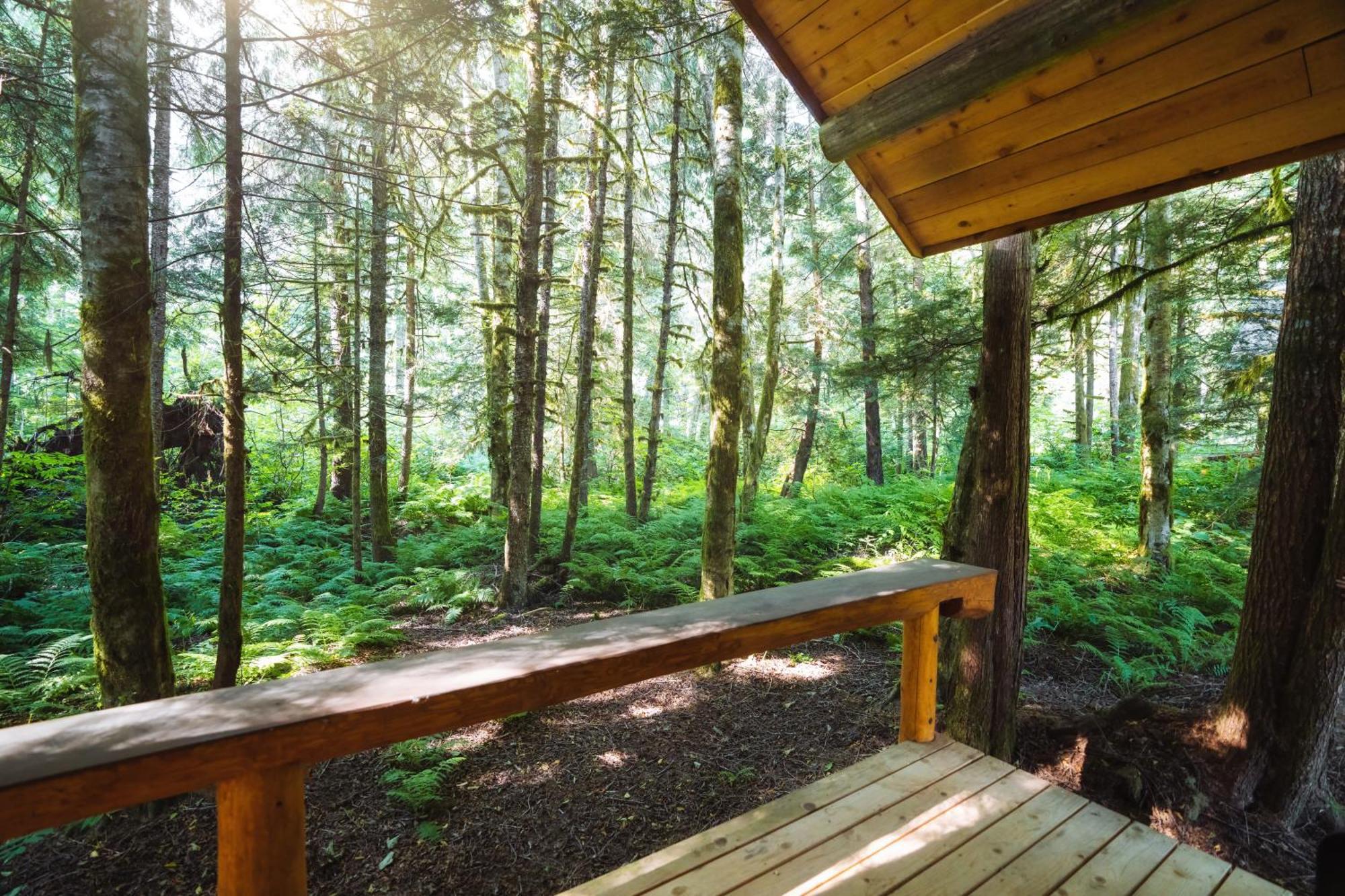 Bella Coola Grizzly Tours And Resort Hagensborg エクステリア 写真
