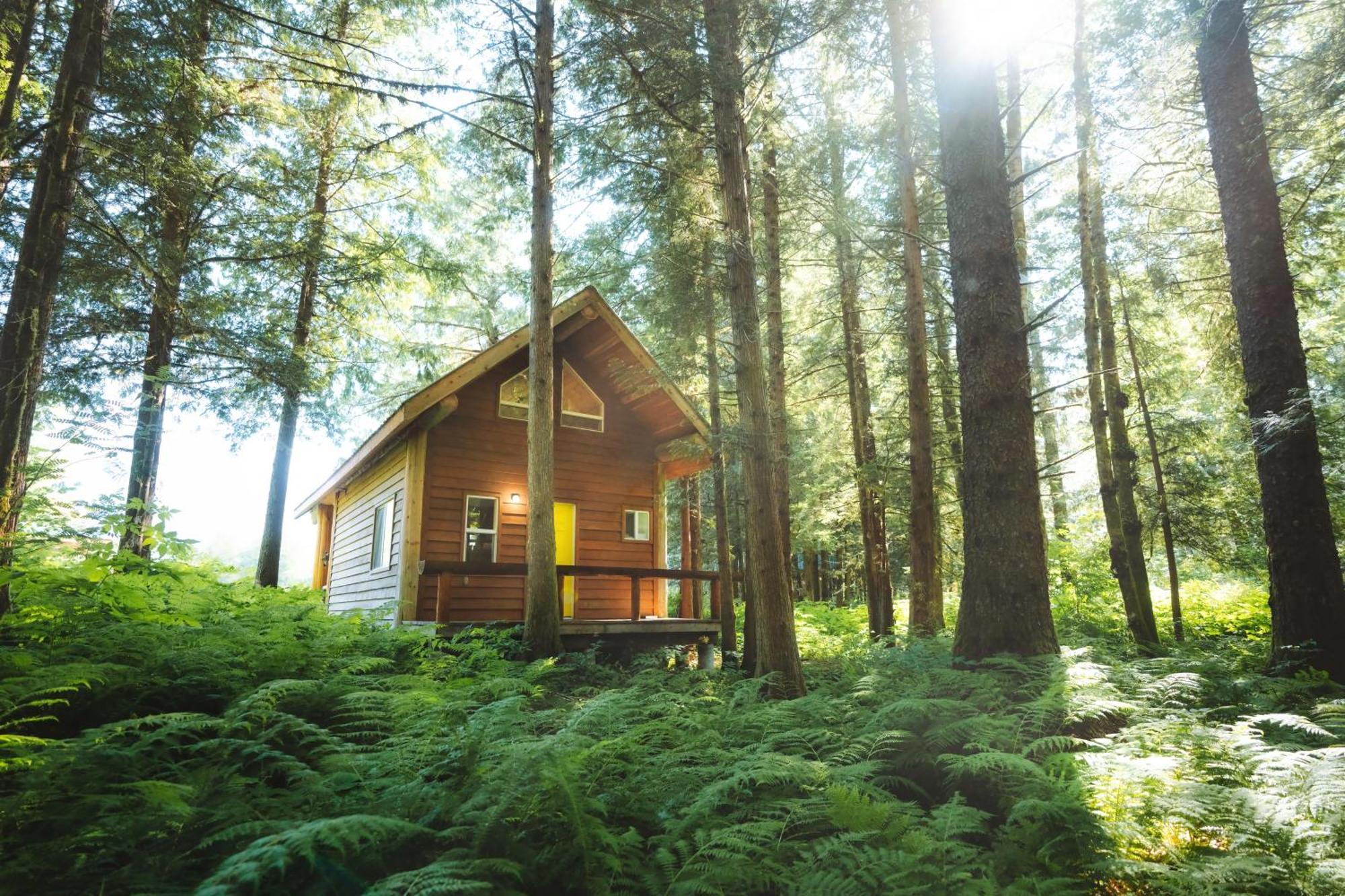Bella Coola Grizzly Tours And Resort Hagensborg エクステリア 写真